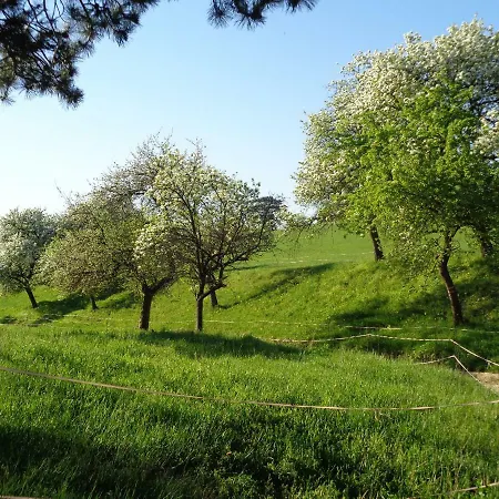 Himmelreich Apartment *