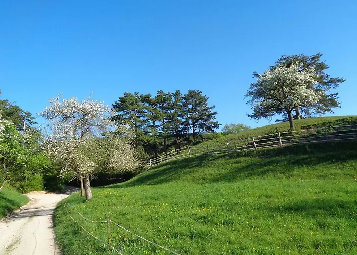 Himmelreich * Ternitz