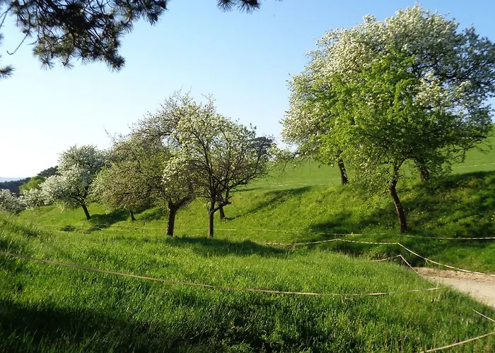 Himmelreich Apartamento *