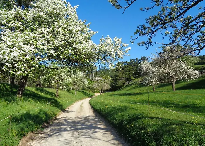 Himmelreich Lägenhet *
